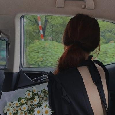 苏菲的供词